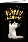 Cat Sent Greetings Featuring Fluffy Feline Extending Birthday Wishes from Pet card