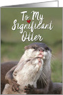 Significant Otters Featuring Sweet Otters Showing Birthday Love card