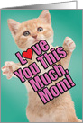 Cat Love You This Much Birthday Mother Greeting card