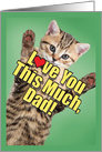 Cat Love You This Much: Birthday Father Greeting card
