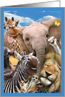 Here’s Looking At Zoo Birthday Greeting Card From All of Us card