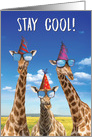 Cool Giraffes Funny Birthday Colorful Zoo Animal Card