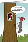 Knock Knock Joke Woodpecker Birthday Paper Card