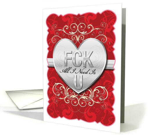 FCK All I Need is U Adult Humor Valentines Day card (1090720)