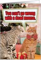 Dead Mouse Tabby...