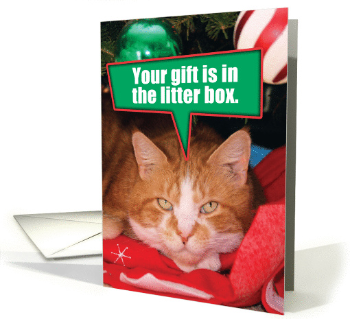 Orange Tabby Cat Litter Box Gift Christmas Joke Paper card (1457150)