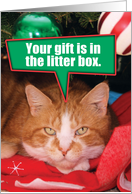 Orange Tabby Cat Litter Box Gift Christmas Joke Paper Card
