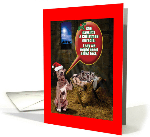 DNA Test Christmas Joke Paper card (1457152)