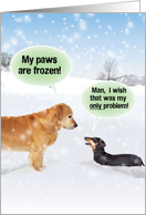 Dogs My Paws Are Frozen Christmas Joke Paper Card