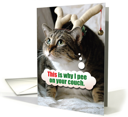 Cat Pee On Couch Christmas Joke Paper card (1457166)