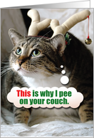 Cat Pee On Couch Christmas Joke Paper Card