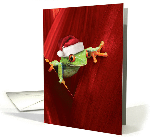 Yule Frogs Christmas card (1458224)