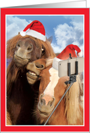 Holiday Animal Selfie Christmas Card - Horses card