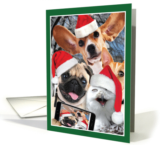 Holiday Animal Selfie Christmas Card - Dogs card (1458238)