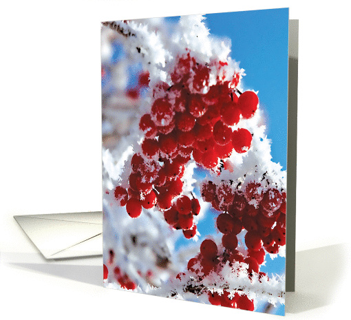 Merry Berries Christmas Red Berries with Snow card (1458250)