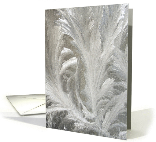 Ice Feathers Fractal Christmas card (1458252)
