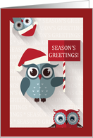 Happy Owlidays Christmas Card with Three Cute Owls card