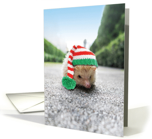 Santa Capped Creatures Hedgehog Christmas card (1458300)