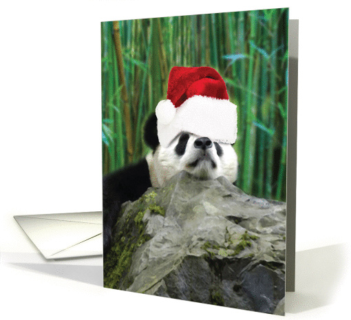 Holiday Pooped Pandas Christmas card (1458406)