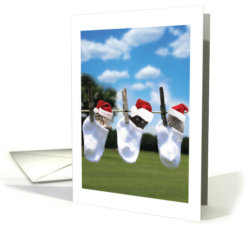 Hang in There This Holiday Christmas Kittens in Socks card (1458408)