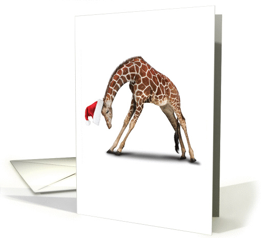 Yuletide Zoo Yoga Giraffe Christmas card (1458444)