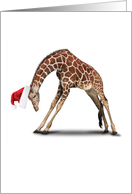 Yuletide Zoo Yoga Giraffe Christmas card
