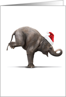 Yuletide Zoo Yoga Elephant Christmas card