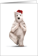 Yuletide Zoo Yoga Polar Bear Christmas card
