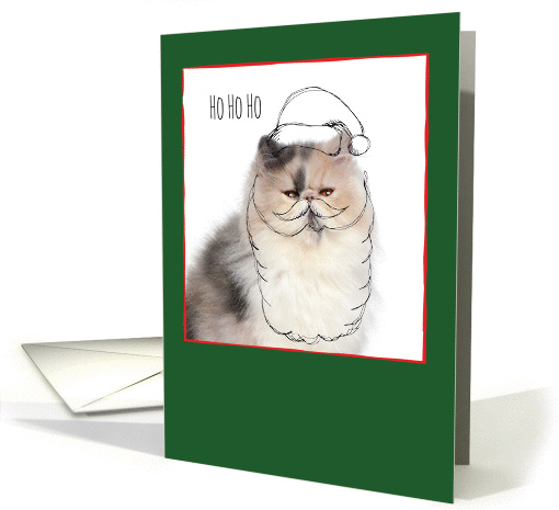 Christmas Cats & Santa Beard Doodles card (1458536)