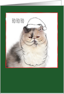 Christmas Cats & Santa Beard Doodles card