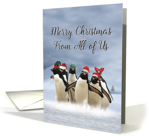 Penguins and Greetings From Us: Funny Christmas card (1543532)