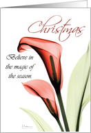 Christmas Spirit Greeting Card Featuring Magical Lilies Blooming card
