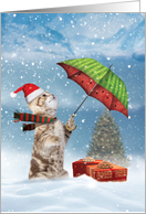 Cat Christmas Humor Greeting Card Featuring Umbrella Wielding Kitty card