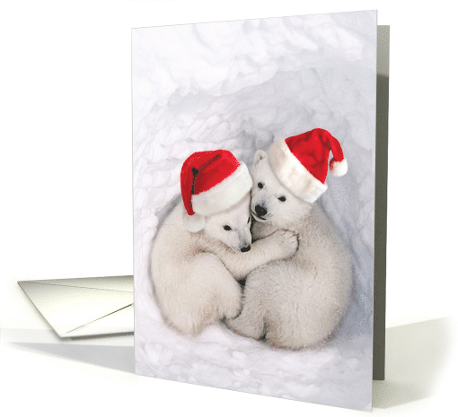 Bear Hugs: With Santa's Hat Wearing Lovable Polar Bear... (1543602)