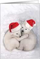Bear Hugs: With Santa’s Hat Wearing Lovable Polar Bear Cubs Cuddling card