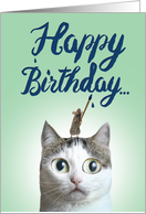 Birthday Cat Sent...