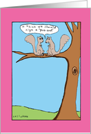 Pre-Nut Tree: Hilarious Squirrel Birthday Card with Art by John Callahan card