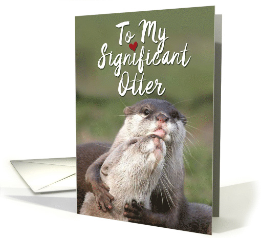 Significant Otters Featuring Sweet Otters Showing Birthday Love card