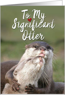 Significant Otters Featuring Sweet Otters Showing Birthday Love card