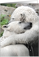 Bear Hugs Friendship Card Featuring Lovable Polar Bears card