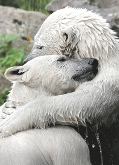 Bear Hugs Friendship...