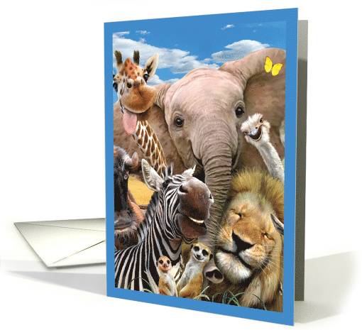 Here's Looking At Zoo Birthday Greeting Card From All of Us card