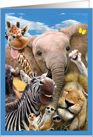 Here’s Looking At Zoo Birthday Greeting Card From All of Us card