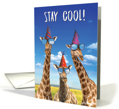 Cool Giraffes Funny Birthday Colorful Zoo Animal card (1546894)