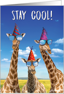 Cool Giraffes Funny Birthday Colorful Zoo Animal Card