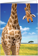 Upside Down Giraffe: Hysterical Birthday Card