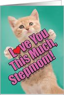 Cat Love You This Much Stepmom Mother’s Day Card