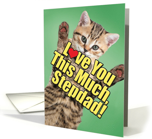 Cat Love You This Much Stepdad Father's Day card (1819508)