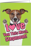 Dog Love You This Much Stepmom Mother’s Day Card