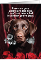 Dog Colors Valentine...